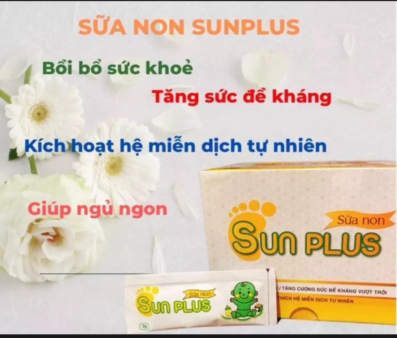 [Hoàn tiền 6%] Combo men hữu cơ Sữa non Sunplus - SỮA NON SUN PLUS