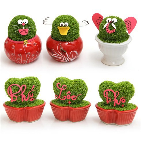 SET 2 ỐNG Phân bón kích rễ Roots roots 2 của Mỹ