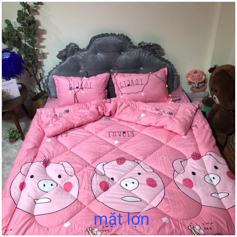 Trọn bộ chăn phao 5 món ga gối poly loại 1 chăn bông như hình