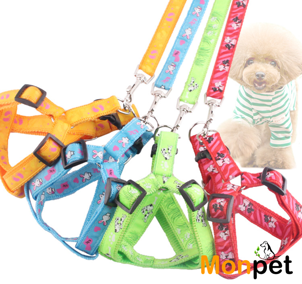 Dây dắt kèm yếm cho chó mèo thú cưng 🐾