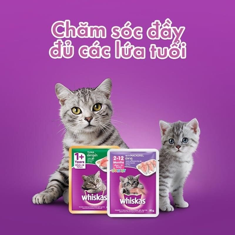 Pate Whiskas Cho Mèo Mọi Lứa Tuổi 80gr - Xiuxiu Giang