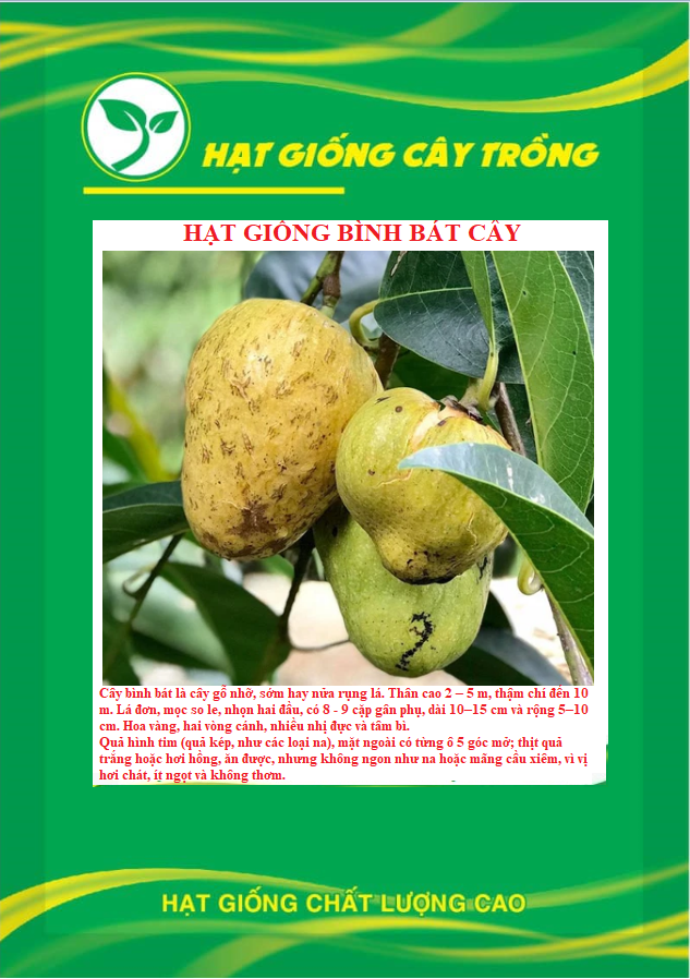 Hạt giống bình bát cây - bình bát vàng - gói 20 hạt