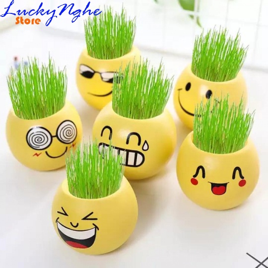 Chậu hạt giống để bàn mini mặt cười