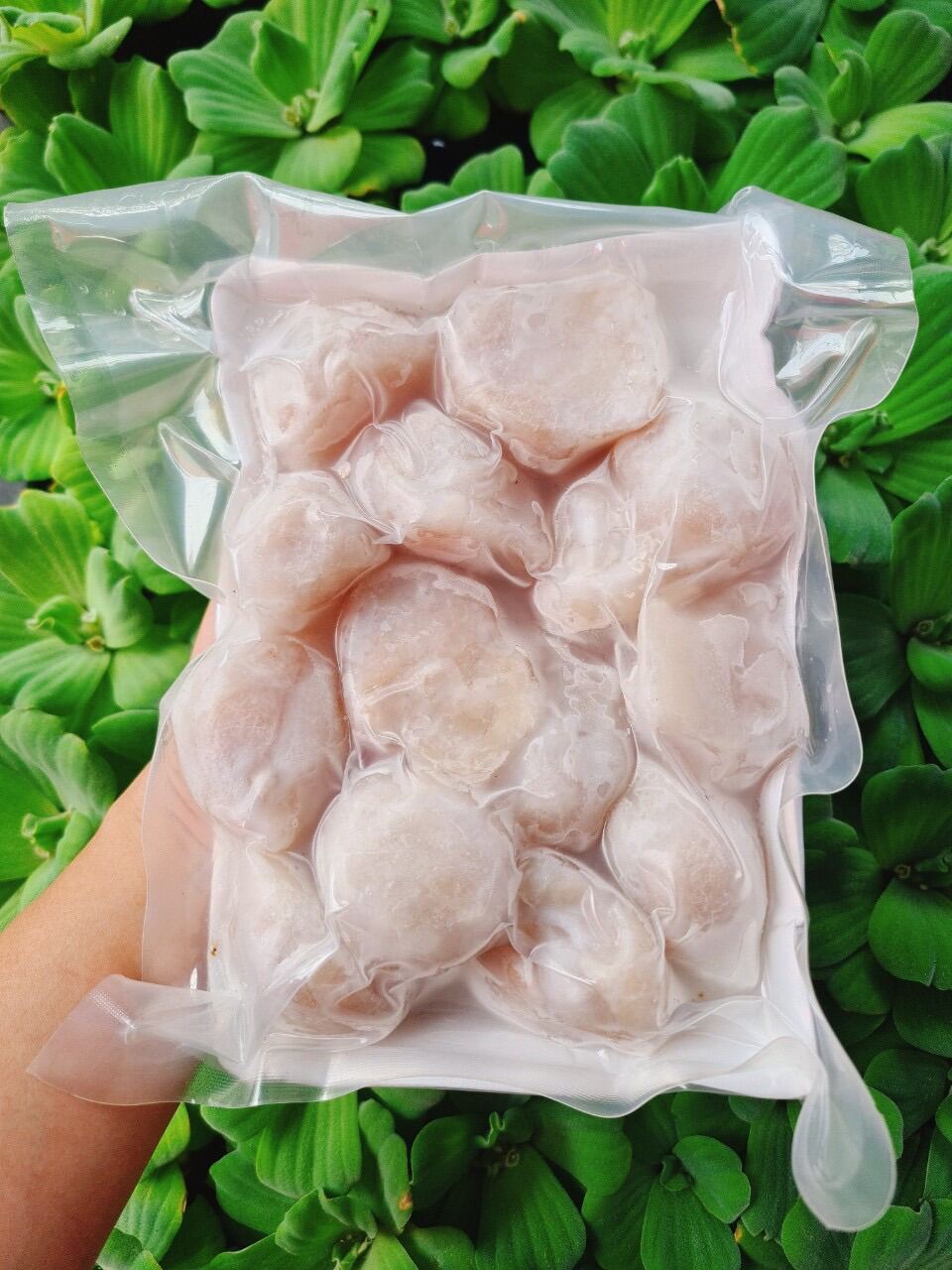 Răng mực cồ mực bự 500gr (giao tphcm)
