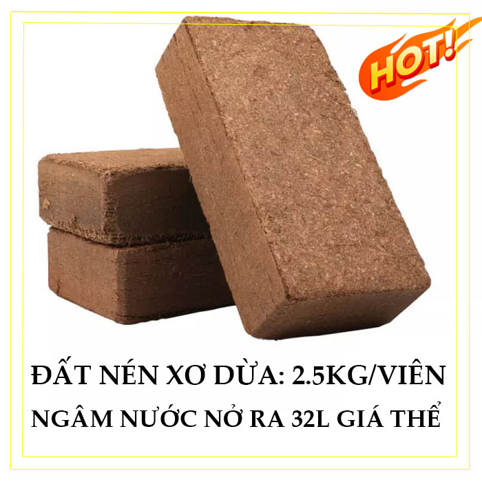 3 viên nén xơ dừa, 2,5kg/viên (Ngâm nước mỗi viên nở thành 36L mụn xơ dừa)