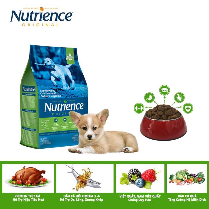 Hạt Nutrience Cho Chó Con - Gà & Rau Củ Quả