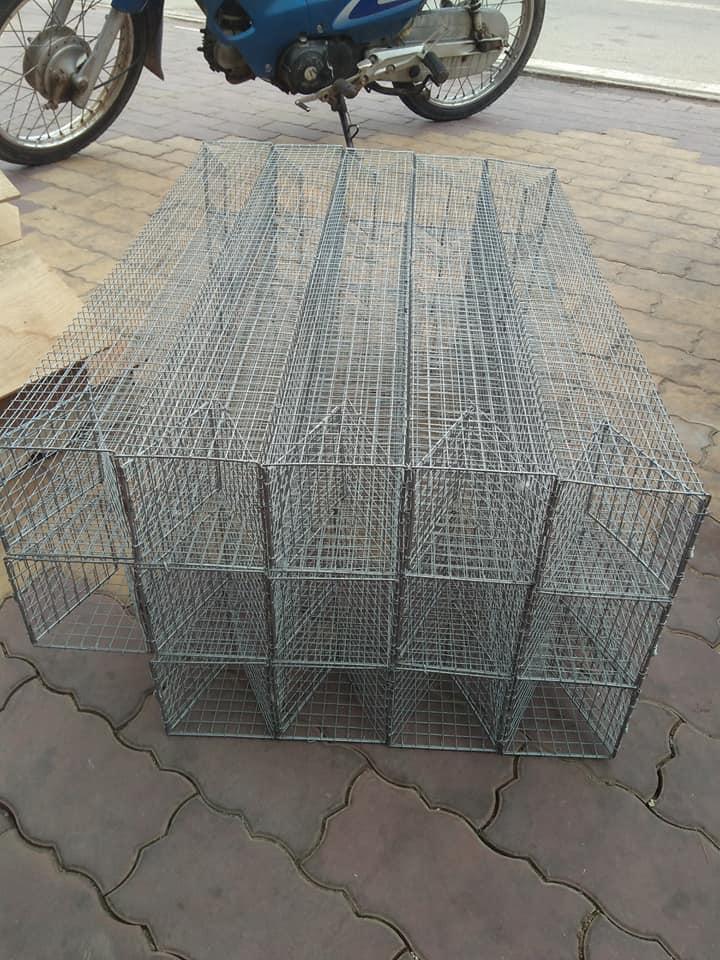Lồng bẩy rắn 2 cửa vào 80 cm
