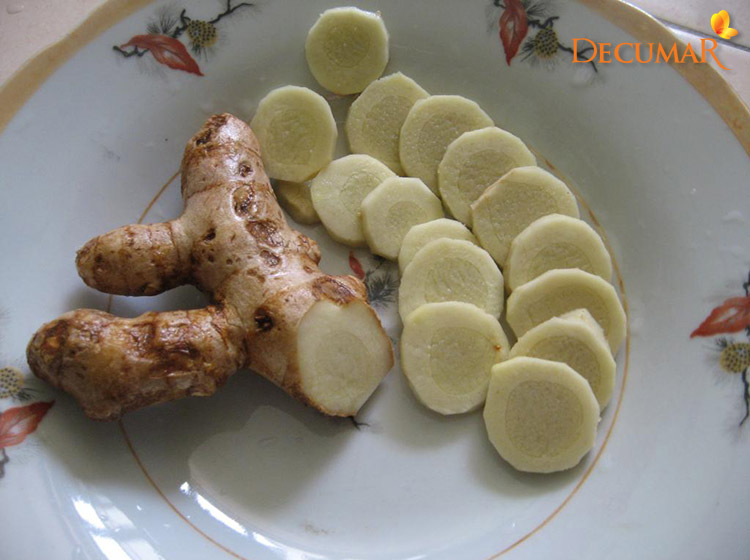 cây giống nghệ trắng rừng