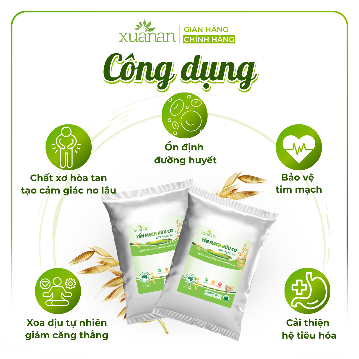 Yến Mạch Hữu Cơ Xuân An [ko đường] Túi 3Kg [cán dẹt] (Giảm 20%)