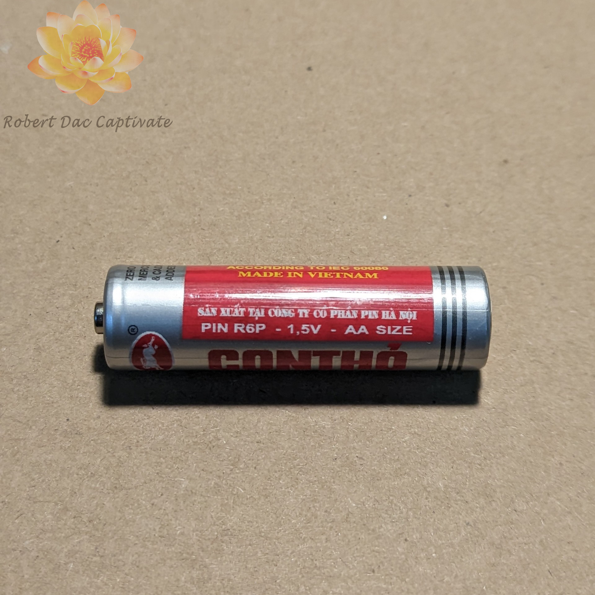 PIN Con thỏ AA 1.5V