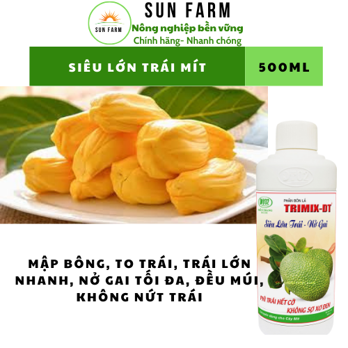 [mua 5 tặng 1] SIêu lớn trái nở gai mít 500ml