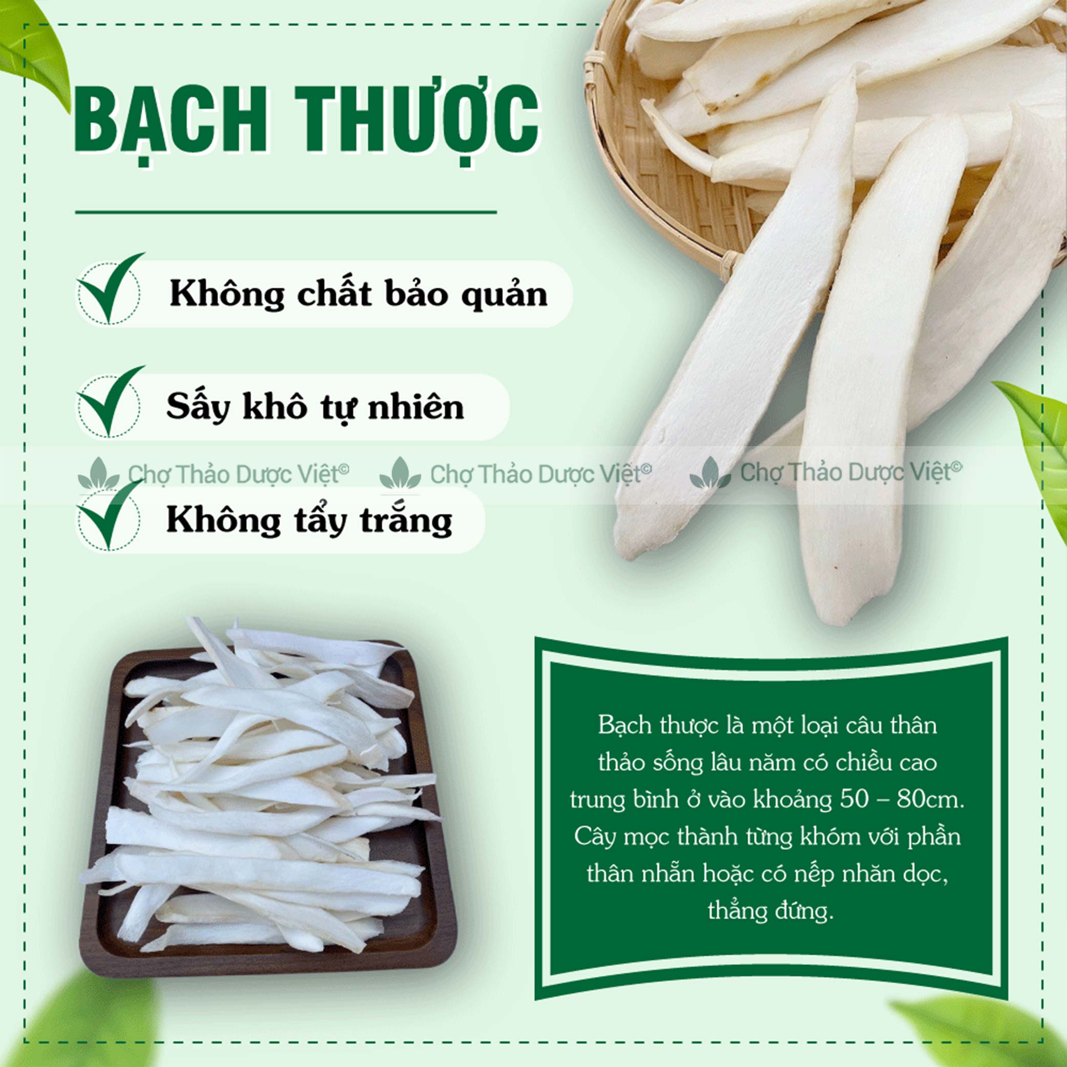 White Gourd 500g, Dried, Thinly Sliced, Unbleached - Viet Herb Market