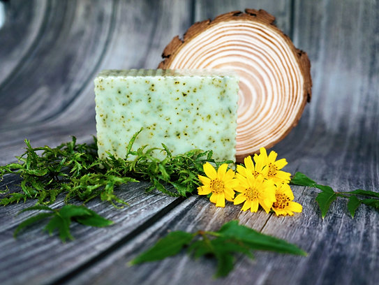 Xà phòng mù u lá đinh lăng 100g