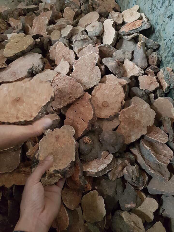 Hà Thủ Ô Đỏ Khô  1Kg