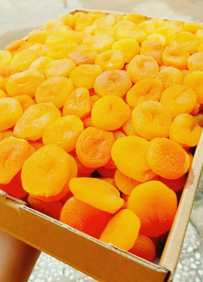 500g Mơ sấy dẻo Thổ Nhĩ Kỳ