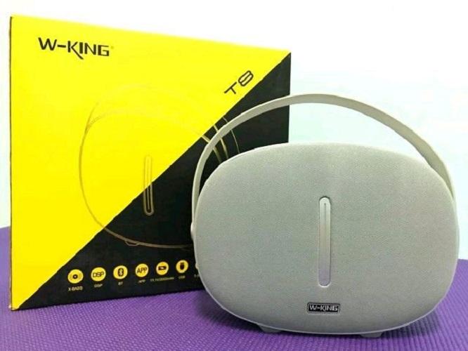 LOA BLUETOOTH W-KING T8