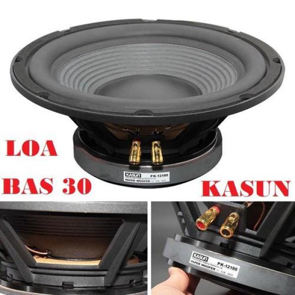 Loa bass 30 cao cấp PK-12818056 giá rẻ
