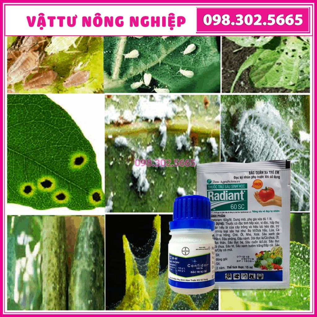 Bộ sản phẩm cho Hoa Hồng, Hoa Kiểng, Cây Trồng (1 confidor + 1 radiant)