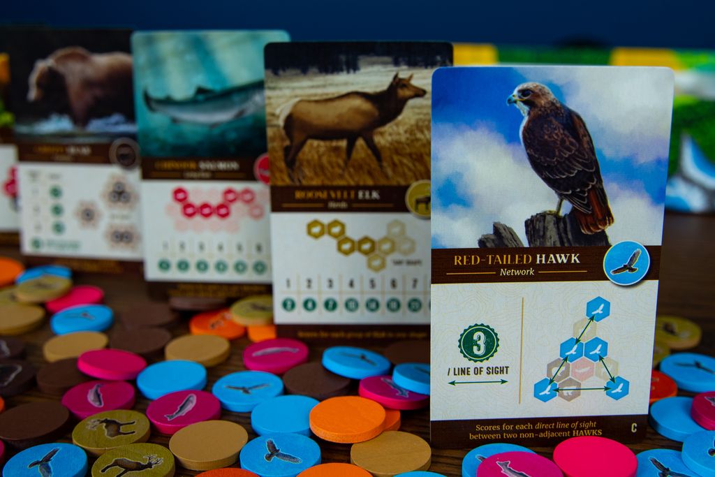 [US] Cascadia - Trò Chơi Board Game