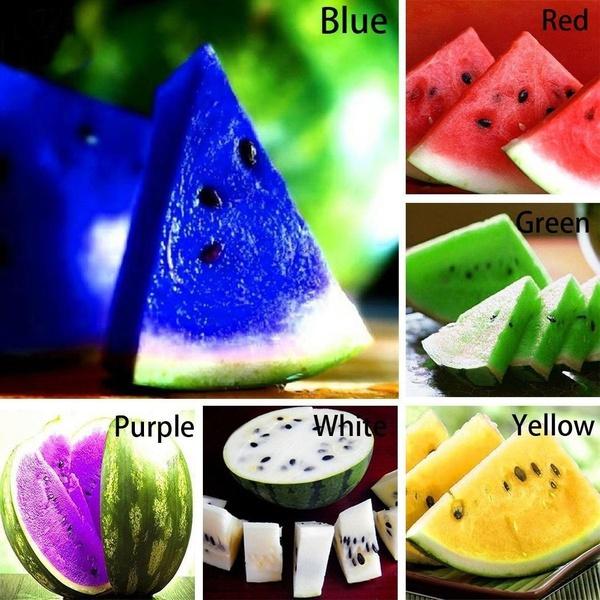 [3 packs] - Colorful Watermelon Fruit Seeds