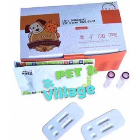 (1 que) Test bệnh parvo chó que thử bệnh pravo chó