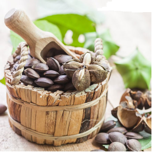 Hạt Sachi rang chín ăn liền 500Gr