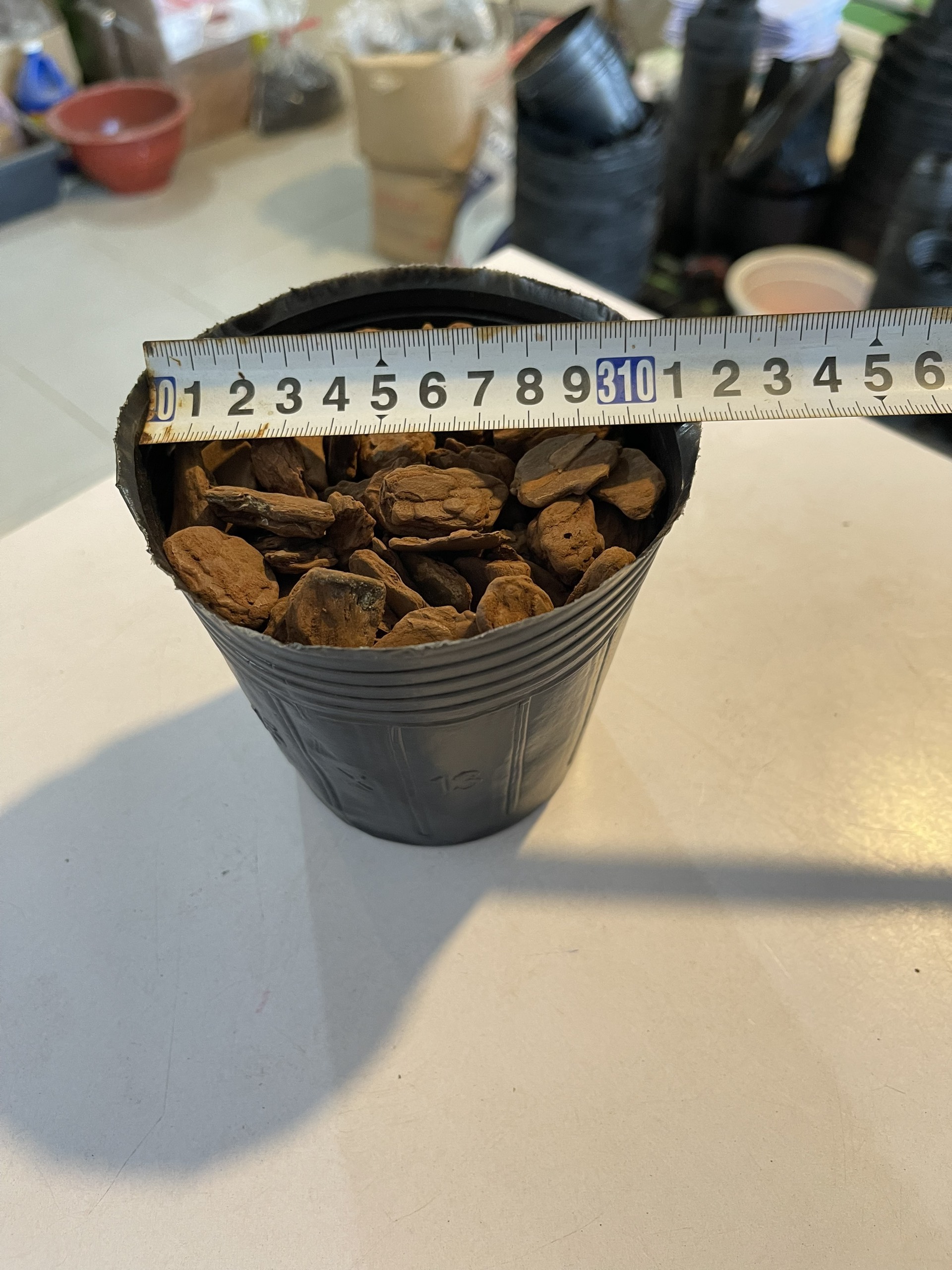 5 kg túi bầu ươm cây cỡ 15x13