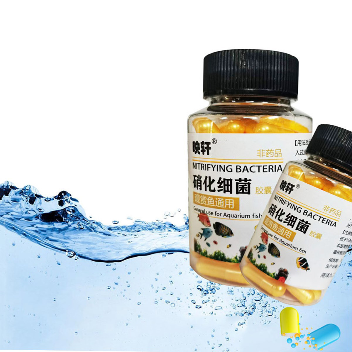 Vi Khuẩn Nitrat Hóa Cho Bể Cá Cảnh , Bể Thủy Sinh