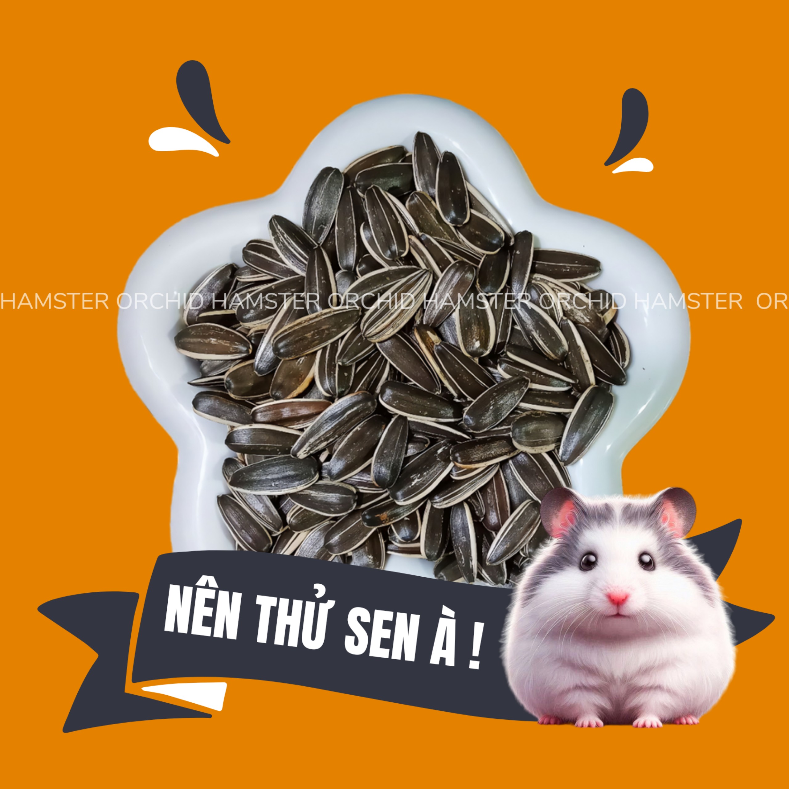 Hạt Hướng Dương Cho Hamster/Sóc/Nhím Và Thú Nhỏ