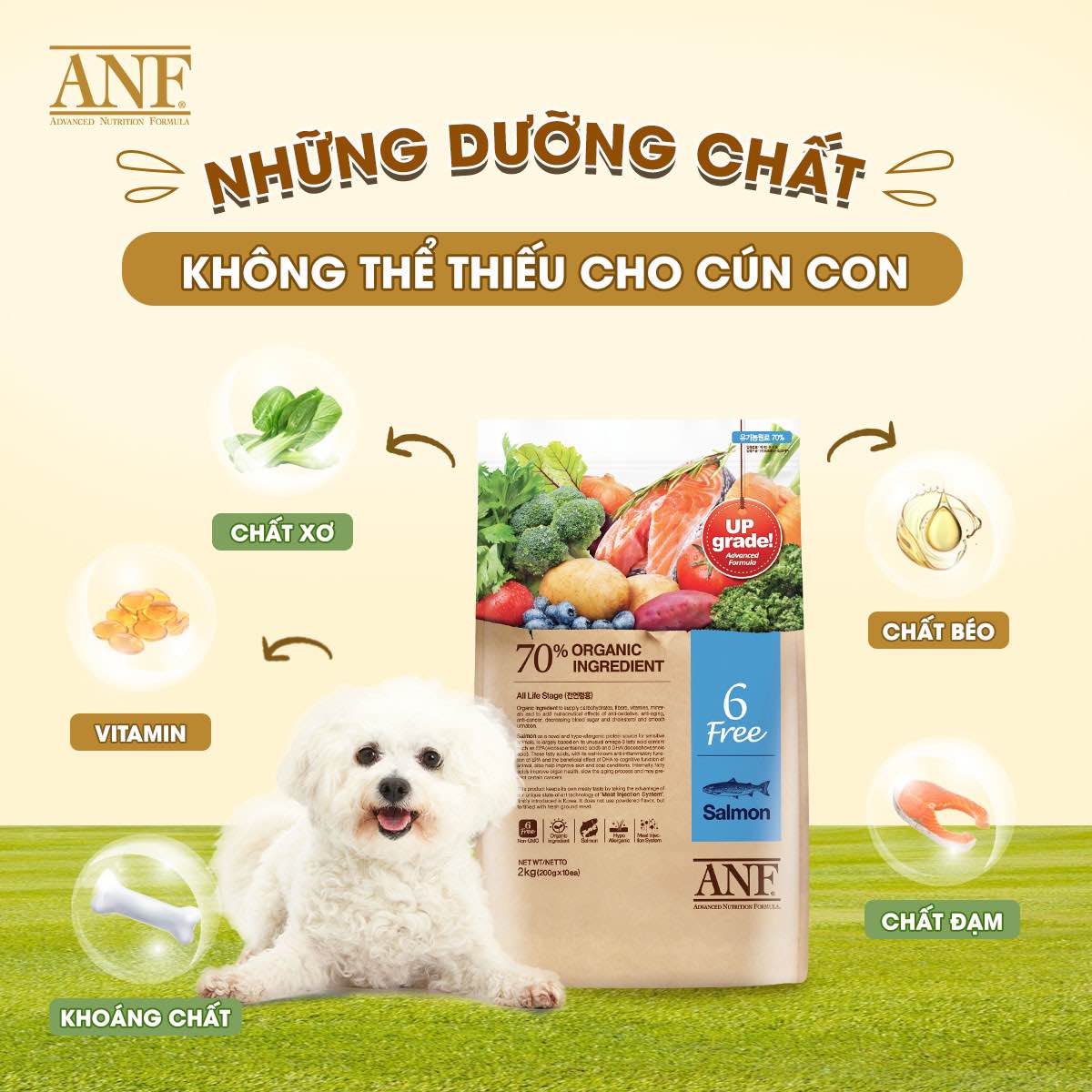 Free ANF 6 dog food 2kg
