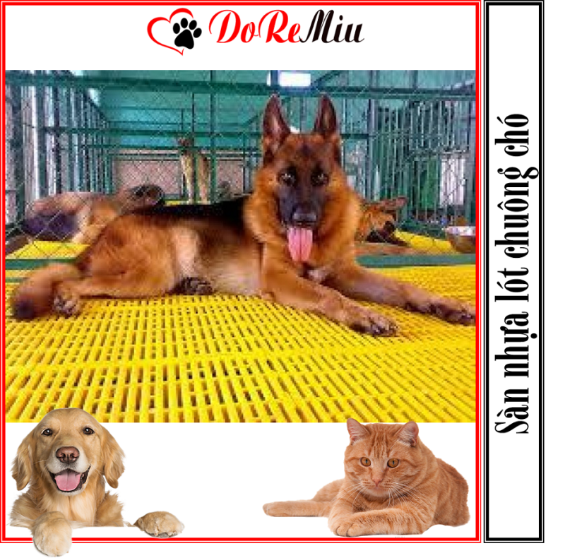Doremiu- Sàn nhựa lót chuồng chó mèo màu vàng loại dày nặng 14kg/tấm size 40x55cm