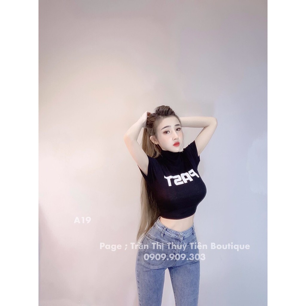 Áo Thun Lụa Croptop Tay Ngắn Cổ Trụ TTSA0130