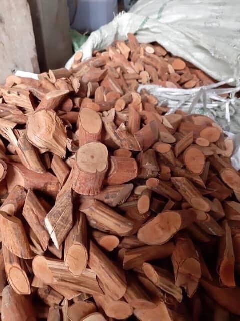 Cây Mú Từn - Tăng cường sinh lý ( Loại VIP 1kg)