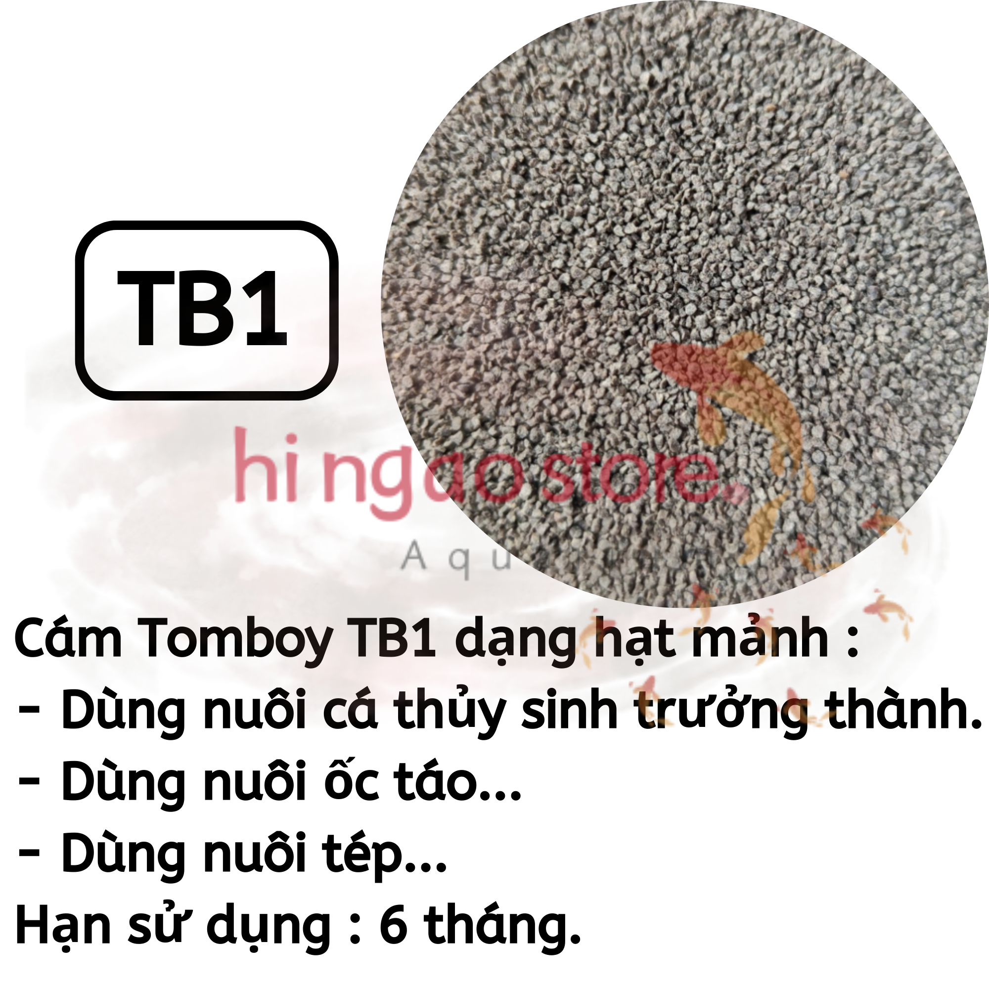 Bộ 4 Hủ 10G Cám tomboy TB 0, TB 1, TB 2, TB 3, TB TT - Thức ăn hỗn hợp biến cá bột, tép bột,ốc bột thành cá bự, tép bự, ốc bự | Hingaostore.
