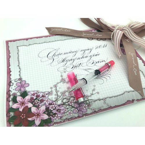 Bút mài thầy ánh sh048 ngòi calligraphy kim tinh - sh048