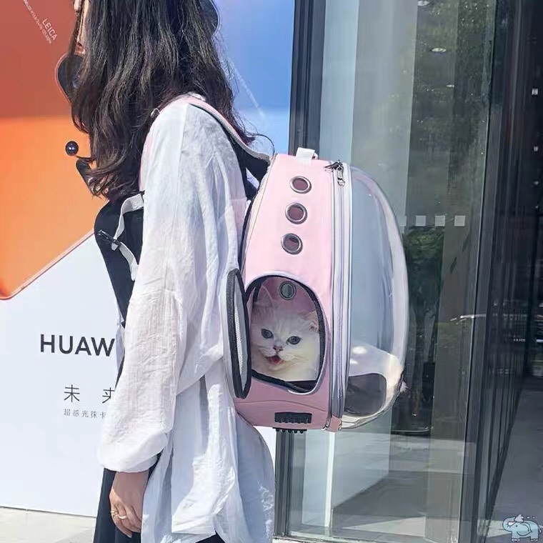 Balo phi hành gia cho thú cưng trong suốt cao cấp