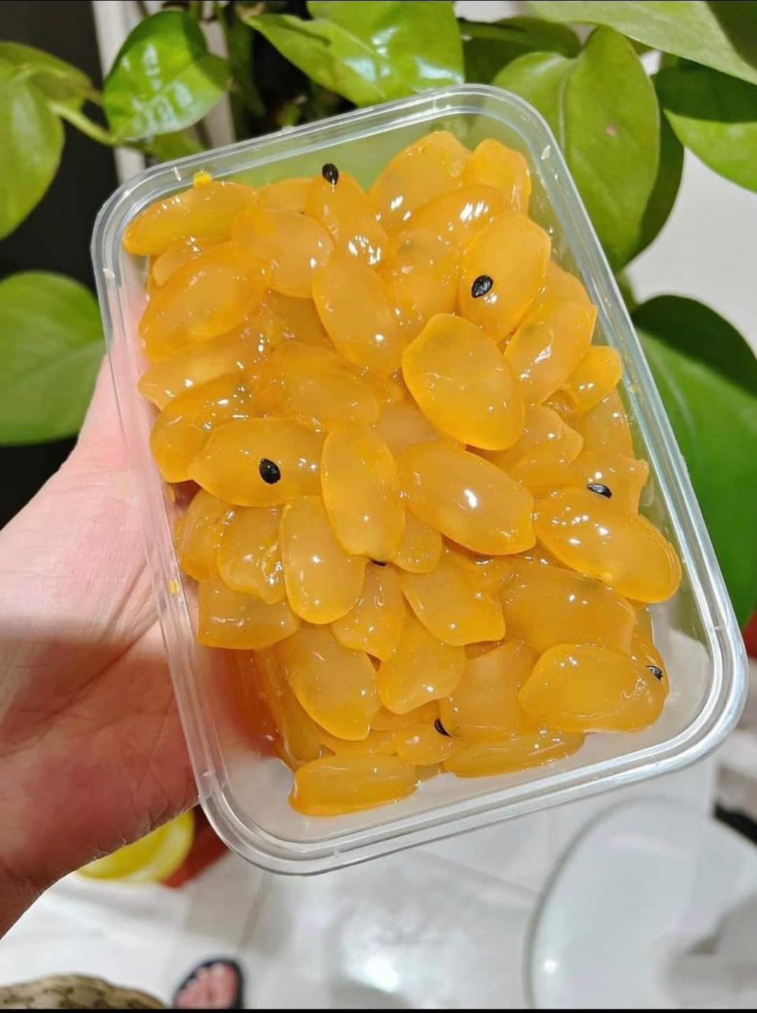 ( Mua 1 tặng 1 quà) 2kg Hạt đác Nha Trang dẻo ngon chất lượng