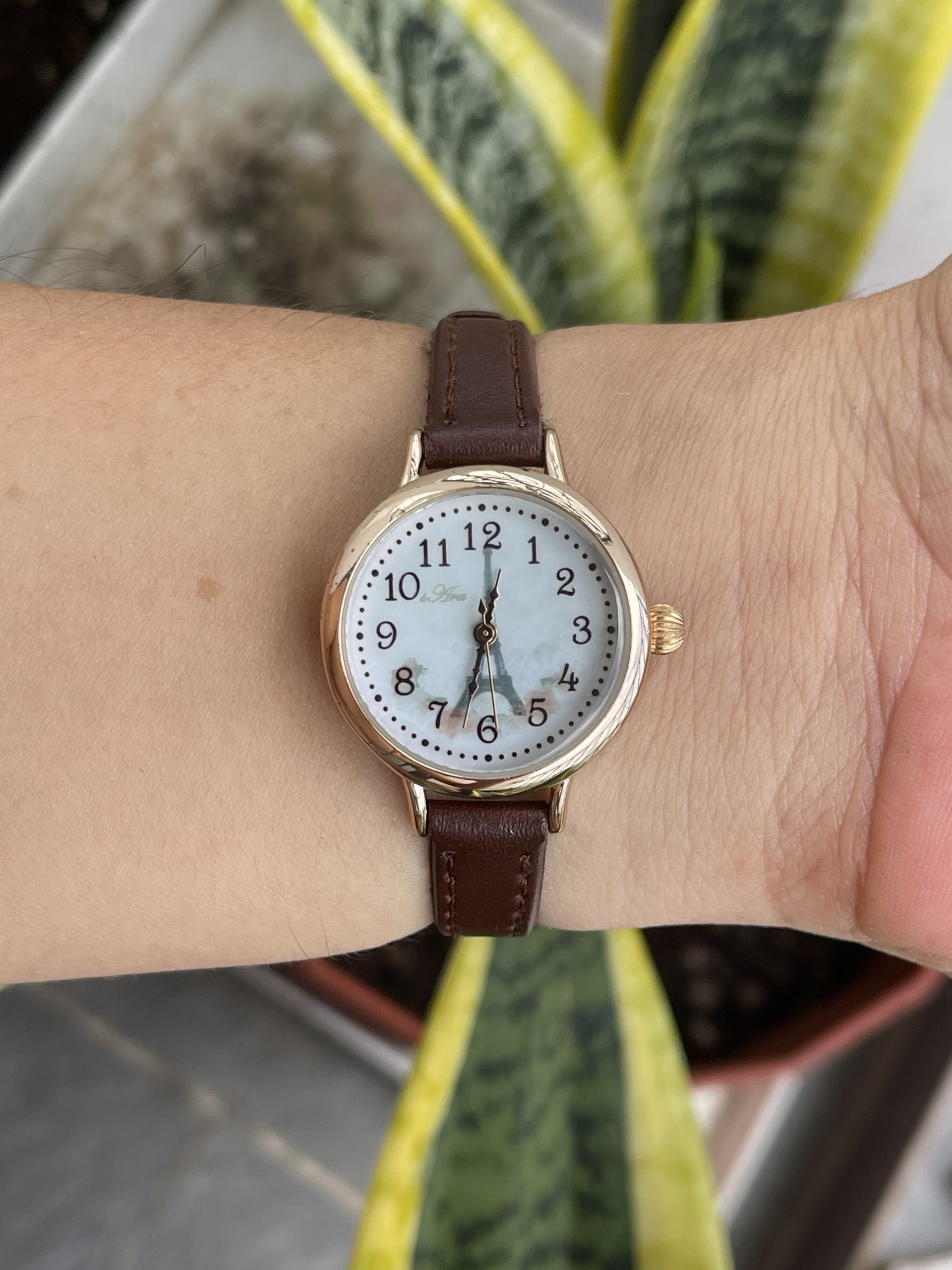 Đồng hồ nữ Hira chạy pin hàng Si
