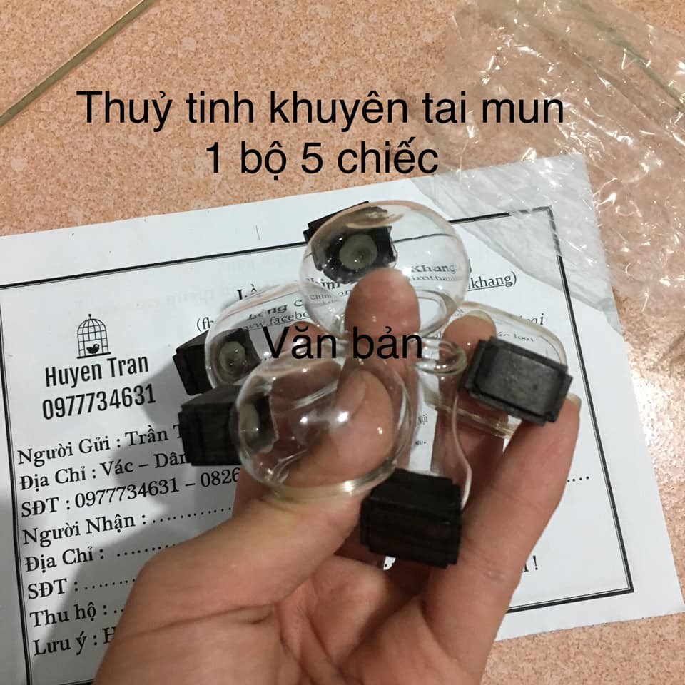 Cóng khuyên, hút mật chất liệu thủy tinh cao cấp siêu đẹp tai mun đủ bộ 5 chiếc Phụ Kiện Kabosa