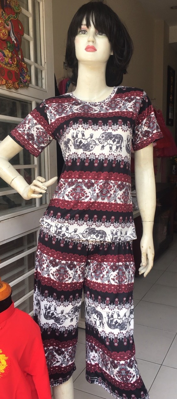 Đồ Bộ Thun tốt co giãn Cao Cấp big size