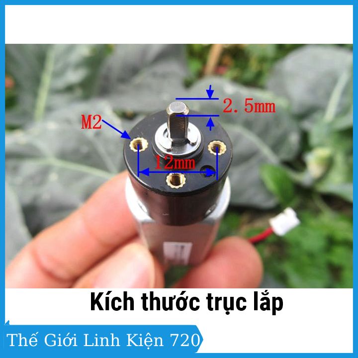 Động cơ giảm tốc 180 3V tốc độ motor 1350 vòng/phút