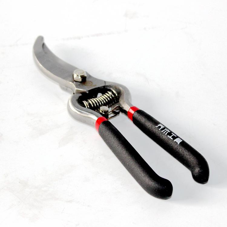 Kéo cắt tỉa cành cây