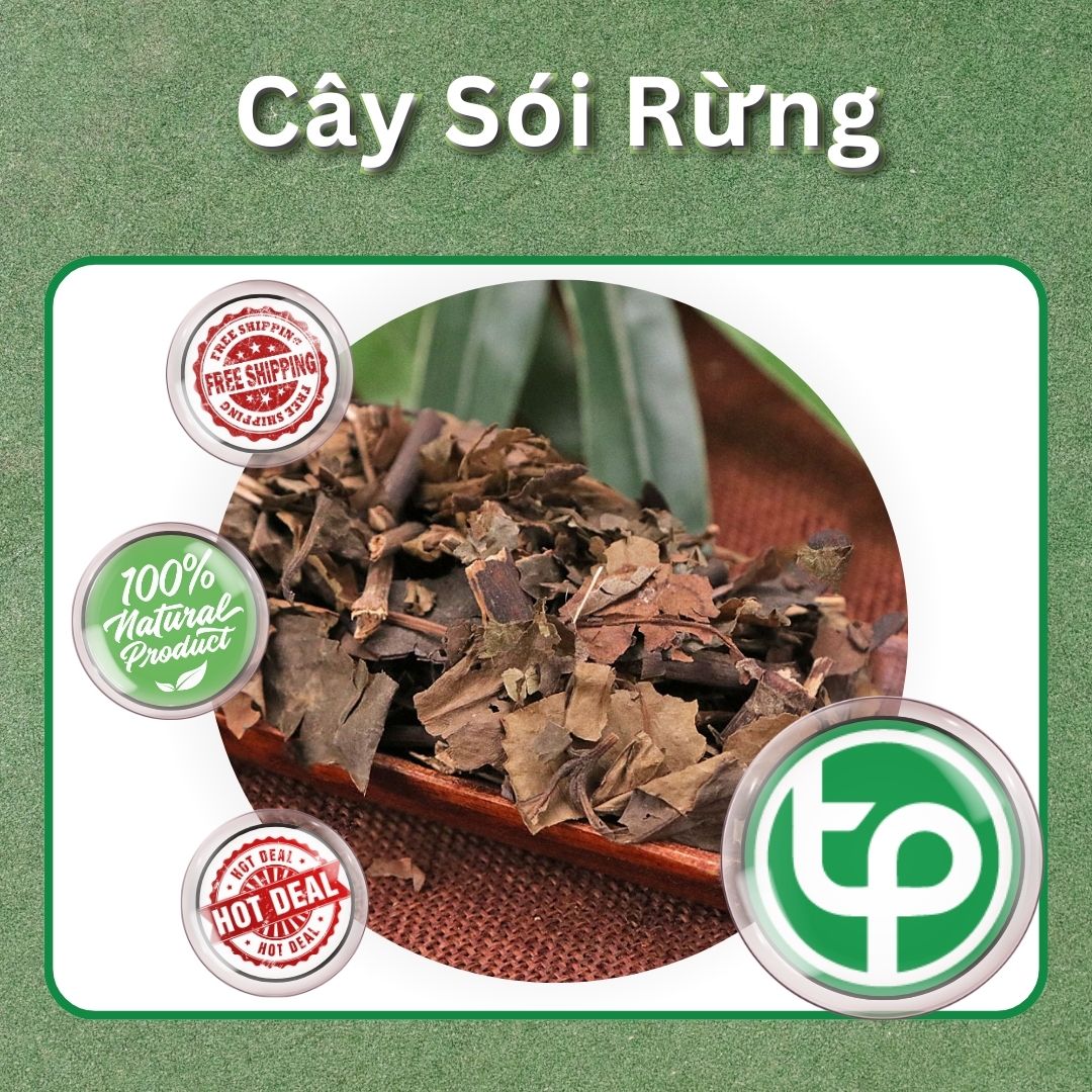 Cây sói rừng 500g