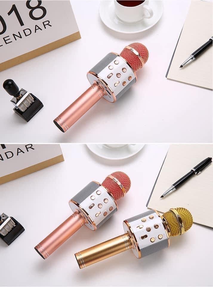 [HCM]Mic karaoke 858