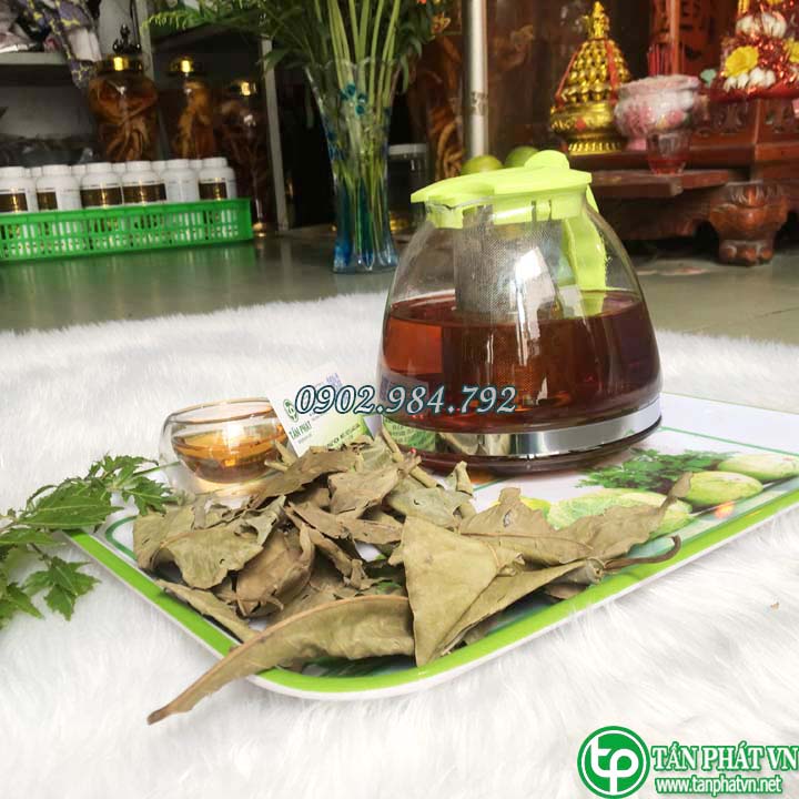 [Hàng loại 1 chất lượng cao] Lá Vối Sấy Khô 500g - Hàng sạch cao cấp