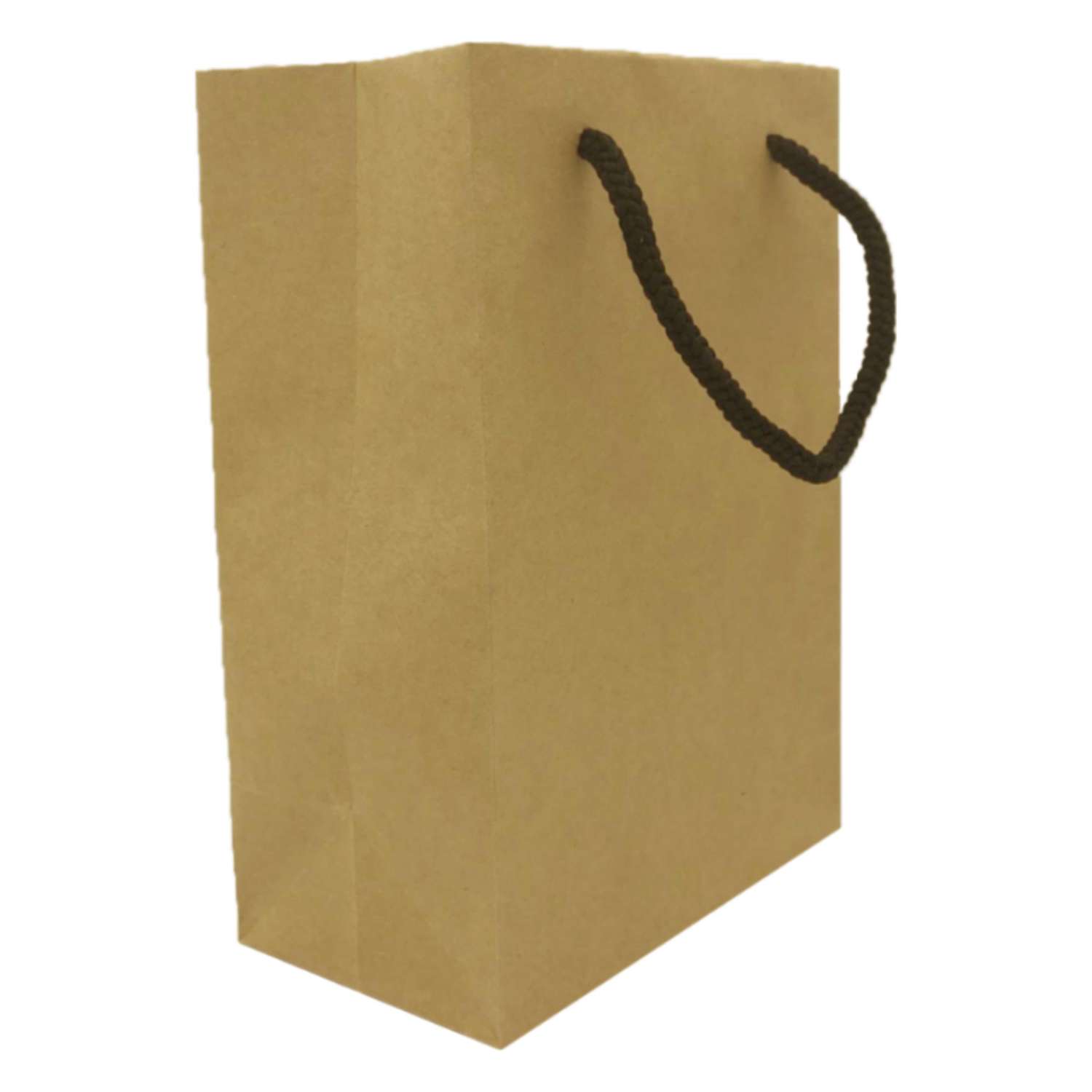 Combo 100 Túi Giấy Kraft trơn KT01