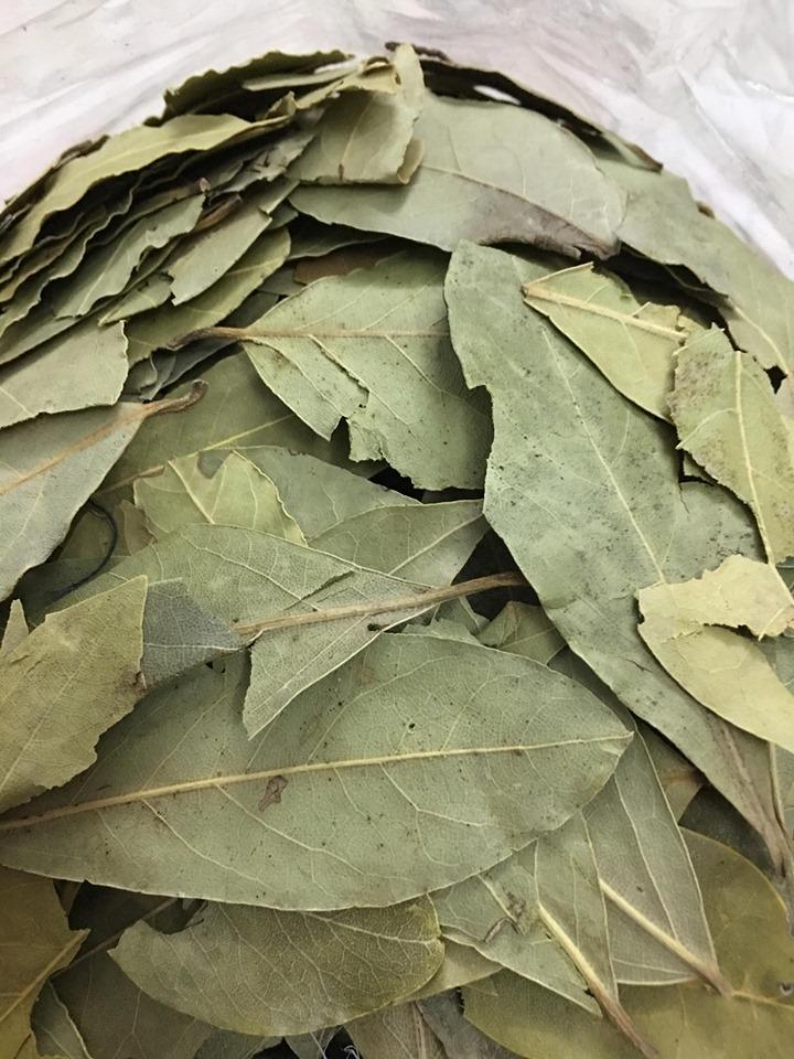 LÁ NGUYỆT QUẾ (LÁ THƠM, BAY LEAF) (200g hút chân không)