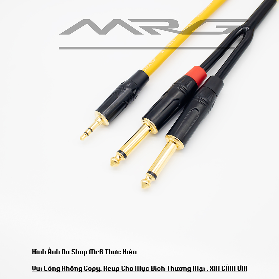 (10 mét) Dây Jack 3.5ly Ra 2 Đầu 6ly (6.5ly) dây phát nhạc