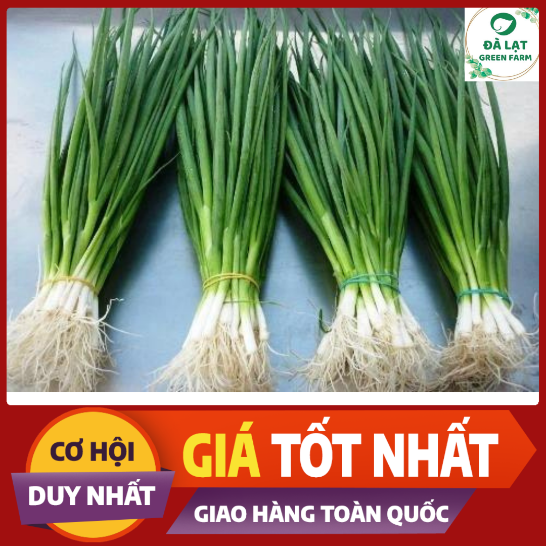 2gr_Hạt Giống Hành Lá Trắng (nảy mầm siêu chuẩn)