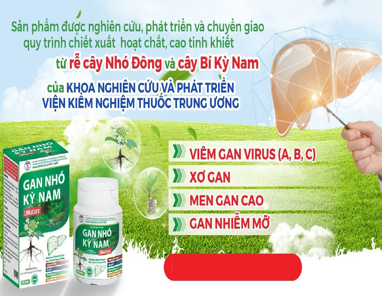 gan nhó kỳ nam - date mới 2026